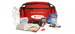 Emergency preparedness kit